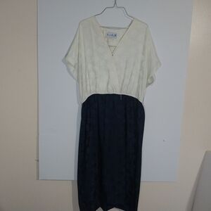 Elegant Vintage Two-Tone Dress